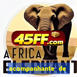 acompanhante de porto seguro